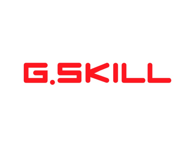 G.skill