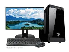 Computadora Amd Ryzen 3 3200g , A520m-a Pro, SSD 500gb, RAM 8GB