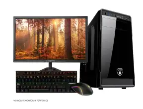 Computadora Amd Ryzen 3 3200g, A520m-k, SSD M.2 500GB, RAM 8GB