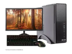 Computadora Amd Ryzen 3 3200g, A520m-k, SSD M.2 500GB, RAM 8GB