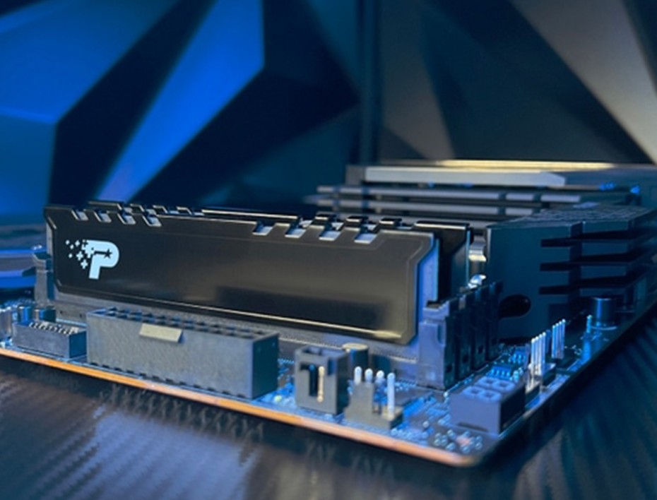 Memoria Ram Patriot Ddr5 16gb Signature Premium (psp516g560081h1) 5600 Mt/s, Negro