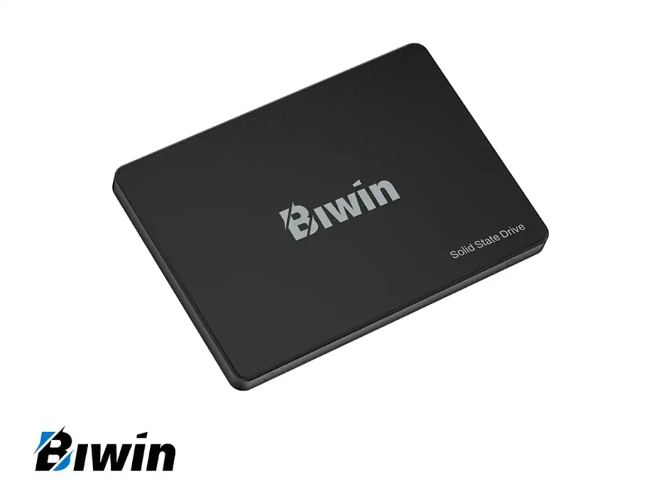 Unidad De Almacenamiento Ssd Sata 2.5 Biwin 256gb M100, Sata 3 (bm100nn256g-rgx )