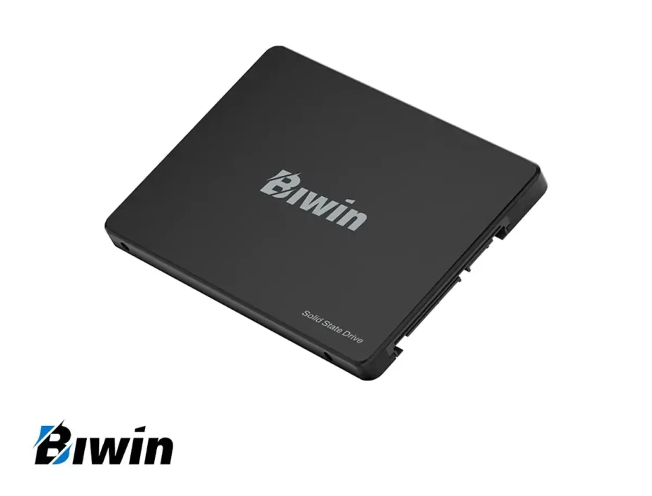 Unidad De Almacenamiento Ssd Sata 2.5 Biwin 256gb M100, Sata 3 (bm100nn256g-rgx )